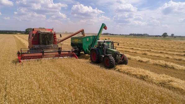 Шини для комбайнів: як вибрати правильно і не втратити на врожаї